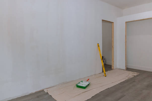 Best Drywall Texturing  in David City, NE